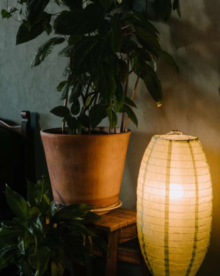 Generic interior-mood stock image — warm evening light — representative illustration only, not a developer kit photograph or a Gaurs Studio Bento unit render